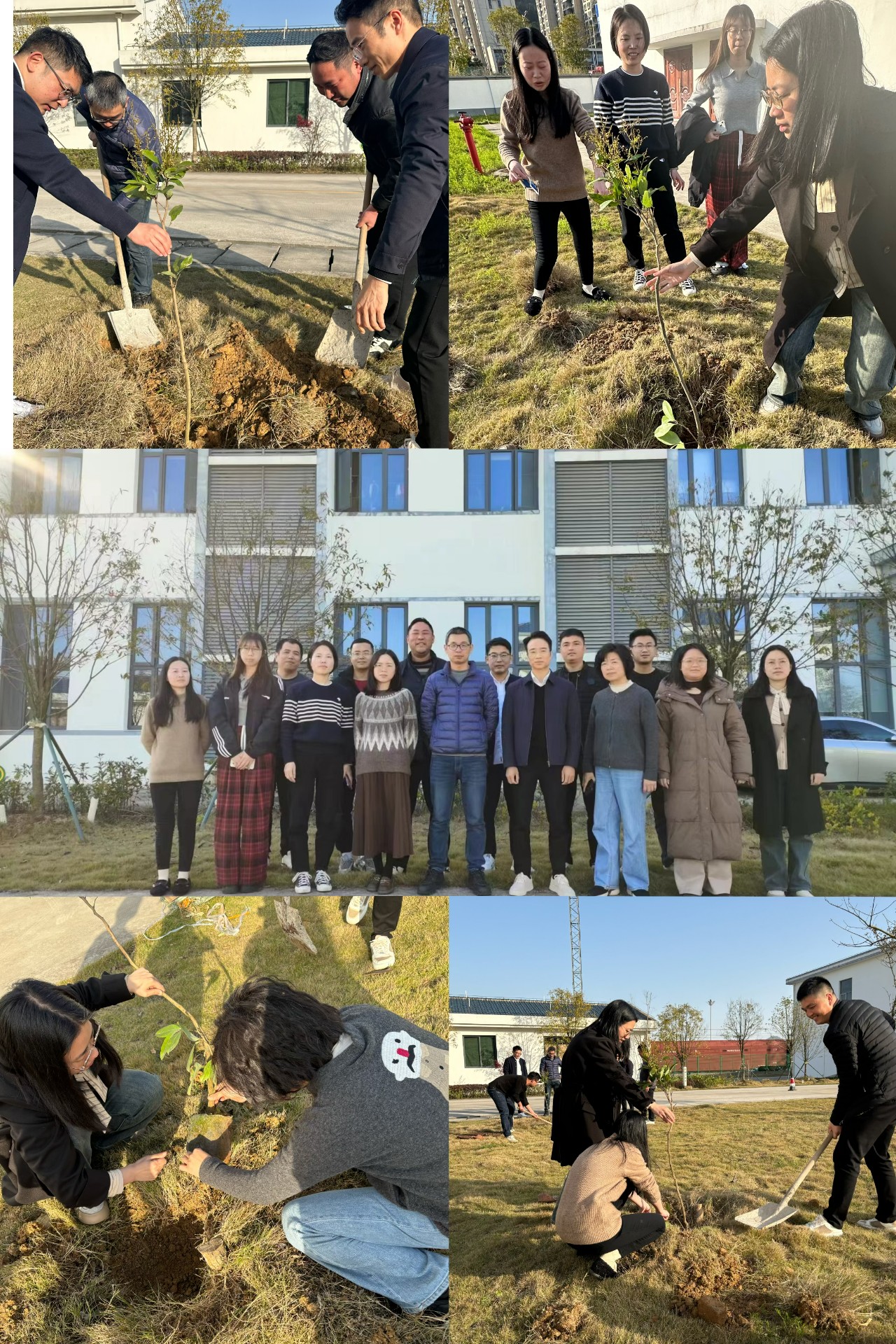 2024-3-12綠色陸港，美麗寧德，阮克妙拍攝.jpg